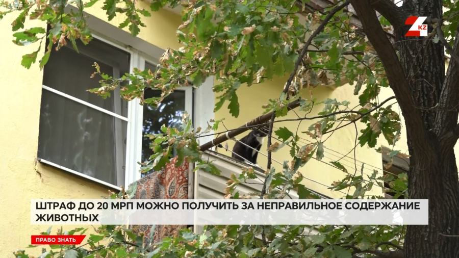 Сосед мешает жить: что делать с нарушителями порядка в подъезде