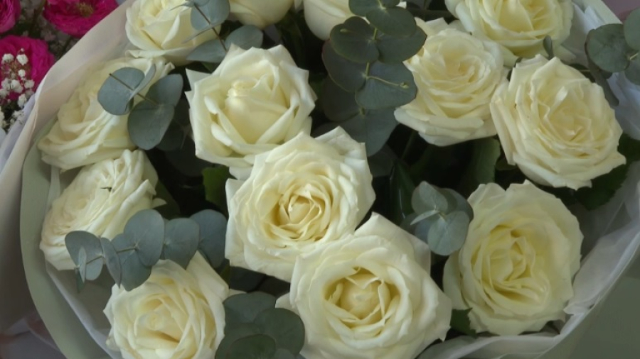 Почти миллион цветов вырастили к 8 Марта в теплицах Степногорска