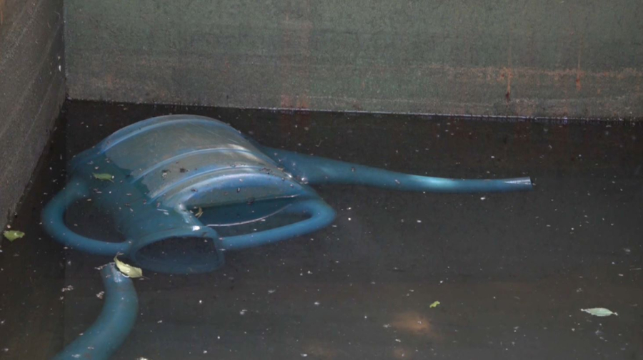 Без питьевой воды остались жители села Бесколь в СКО