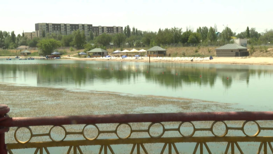 Жер дауы: Тараз жұрты тұрғын үй салуға қарсылық білдірді