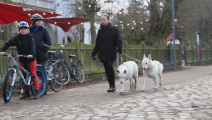 Как работают отели для собак в Германии