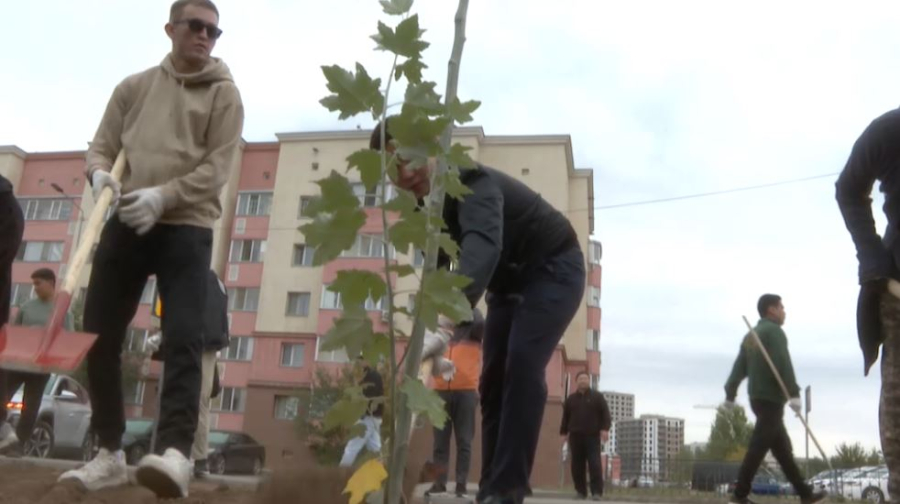 «Таза Қазақстан»: предприниматели высадили 150 деревьев