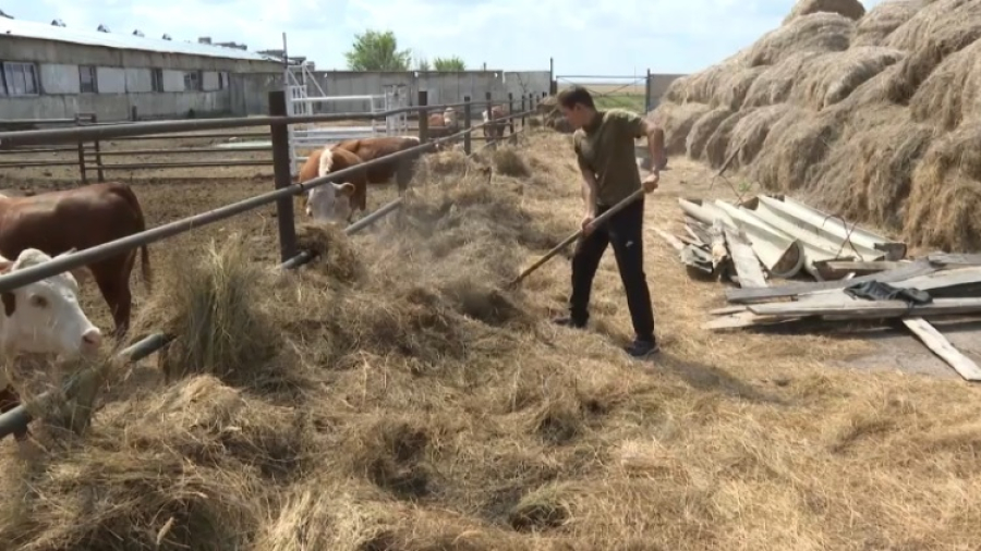 В Акмолинской области набирает обороты проект «Ауыл аманаты»