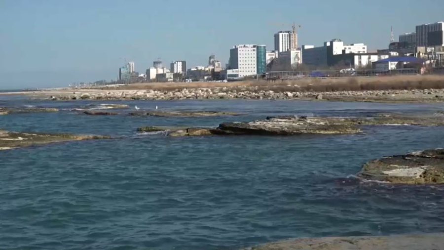 Экологиялық саммитте су мәселесі талқыланады