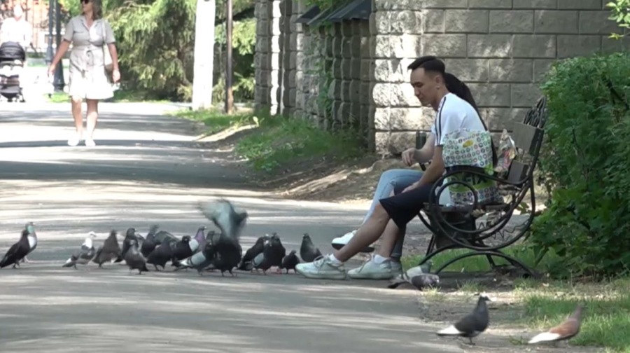 «Заң мен тәртіп»: СҚО-да абаттандыру ережесін бұзған 3000 адам жауапқа тартылды