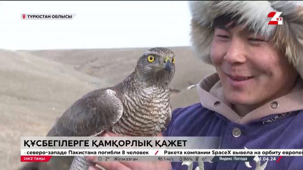 Құсбегілерге қамқорлық қажет