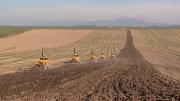 Какую поддержку окажут аграриям Казахстана