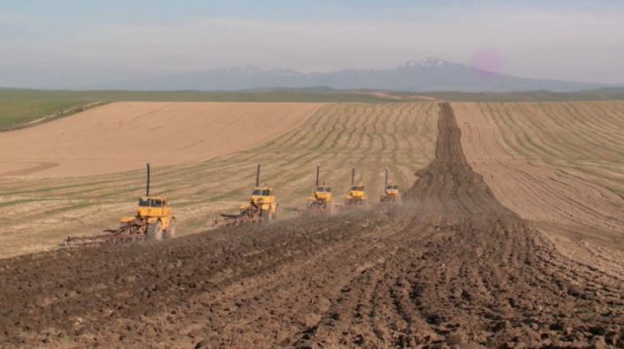 Какую поддержку окажут аграриям Казахстана