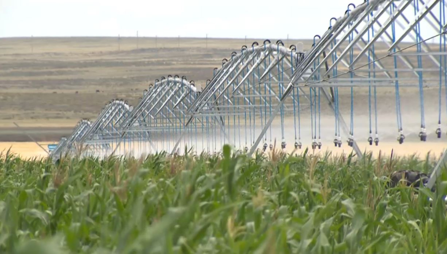 Жамбылдық диқандар тіршілік нәрінен тарыққан жоқ