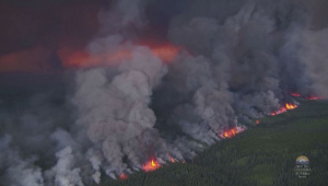 Лесные пожары оказывают долгосрочное влияние на мировую экологию