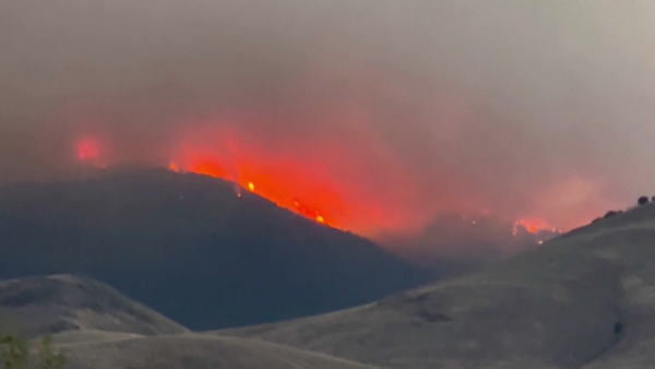 Больше 4 тысяч гектаров леса сгорело в американском штате Юта