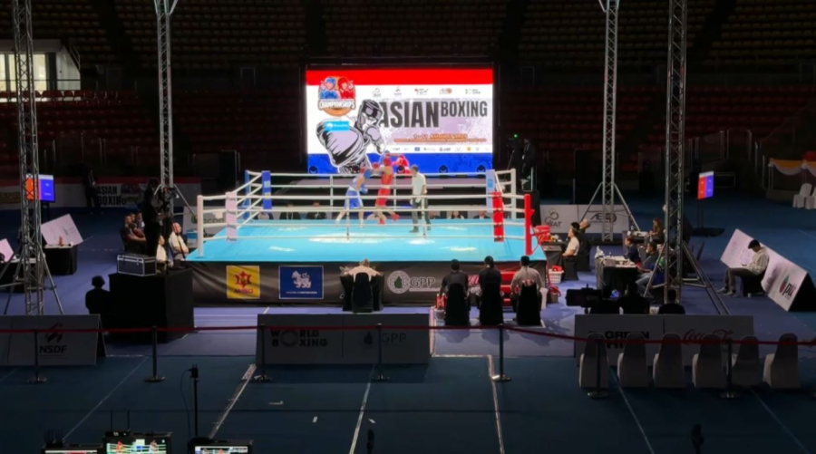 Жеті боксшымыз Тайландта алтынға таласады