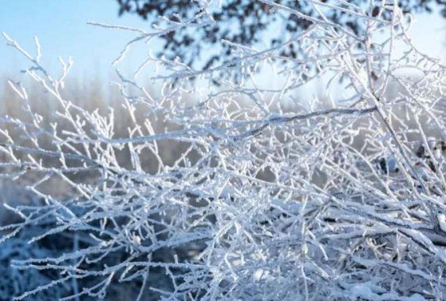 Морозная погода сохранится в выходные