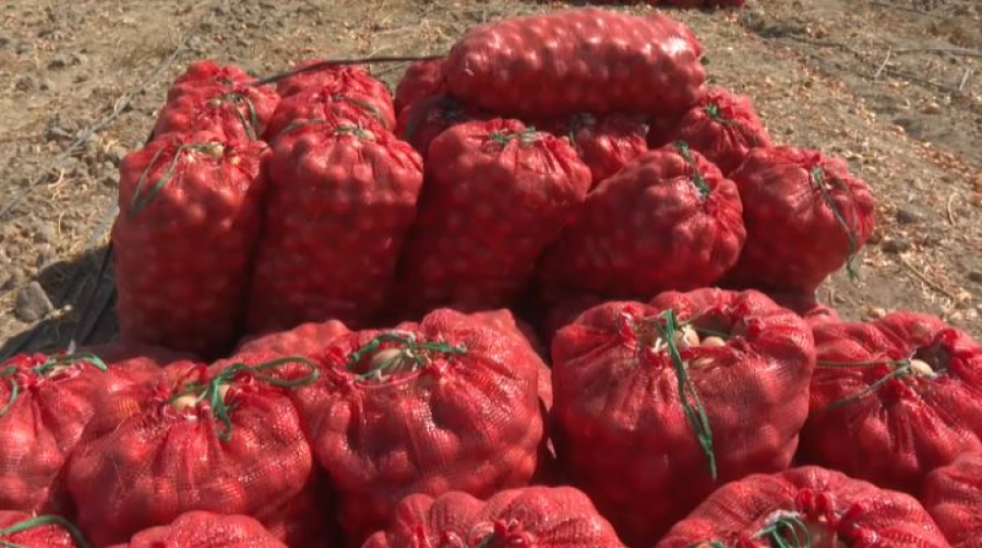 Жамбыл облысында күзгі жиын-терім 89% аяқталды