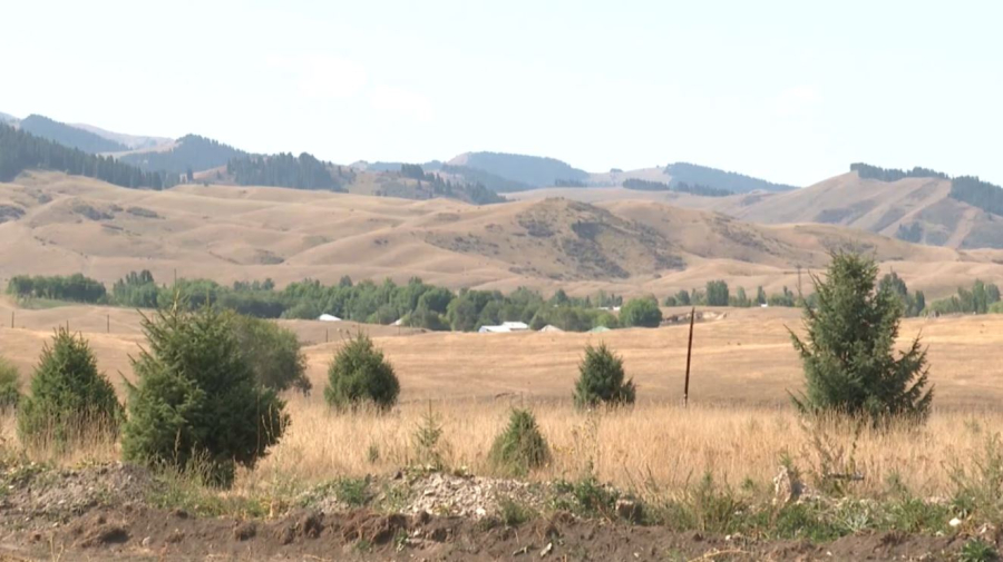 Таулы аймақта туристік кластер дамуда