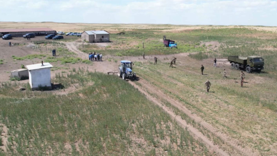 Жамбыл облысында 2500 тонна қарасора жойылды