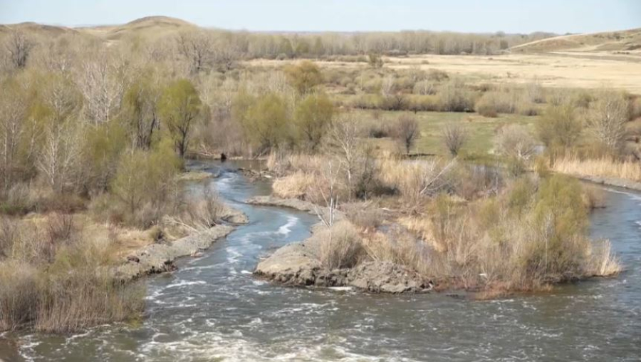 Цифровизацию агросектора обсудили в Сенате
