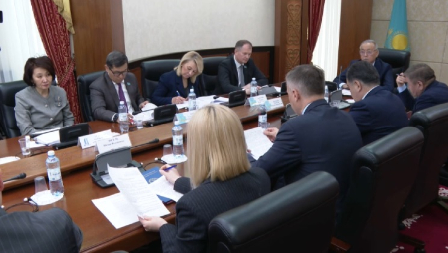 Об эффективности использования средств Нацфонда говорили в Сенате