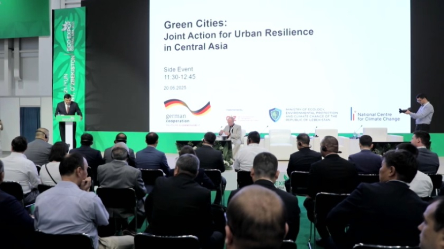 Казахстан усиливает экологическое партнерство в ЦА