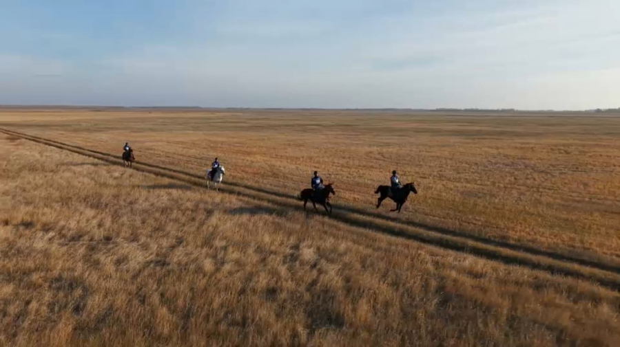 Қостанай ат спортының астанасына айналады