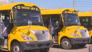 Қызылорда облысында оқушылар жайлы автобуспен қатынайды