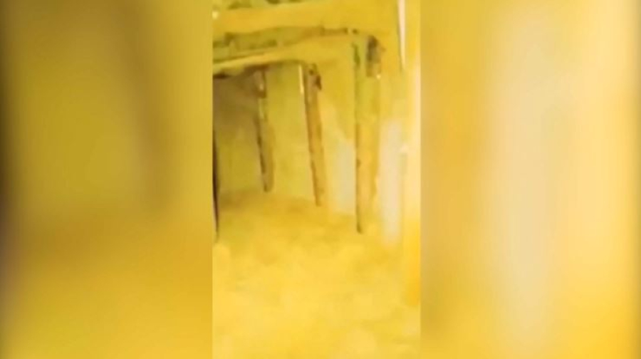 Мигранты проникли в Польшу через туннель