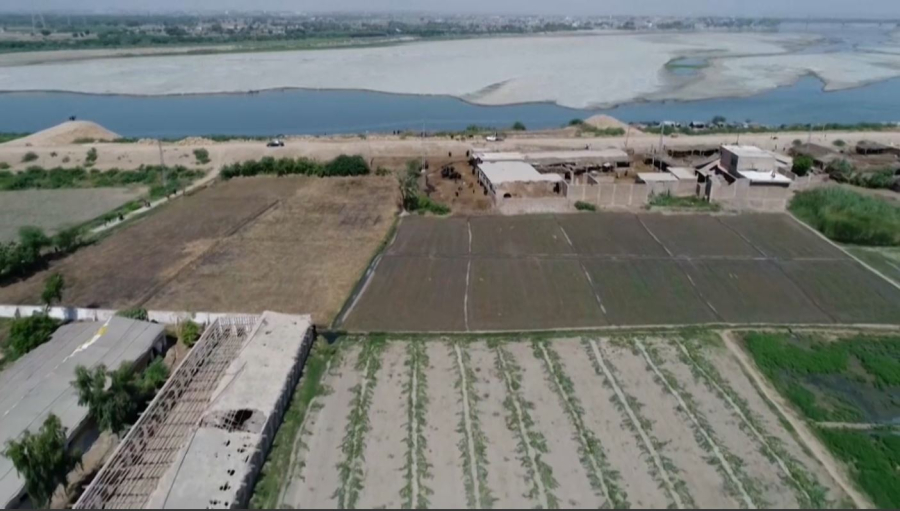 Пәкістандық шаруалар қуаңшылықтан қорқып отыр