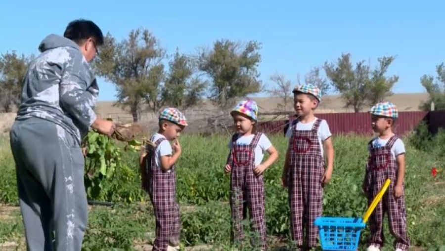 Воспитанники детсада учатся труду в Туркестанской области