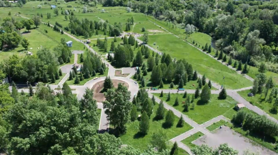 Семейде экологиялық акция аясында 46 мың түп ағаш егілді