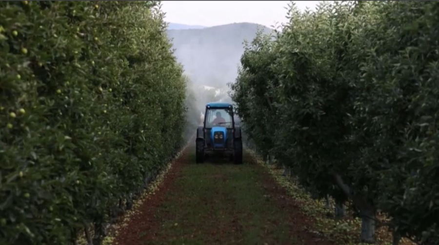 Фермеры Греции используют поддельные пестициды – СМИ