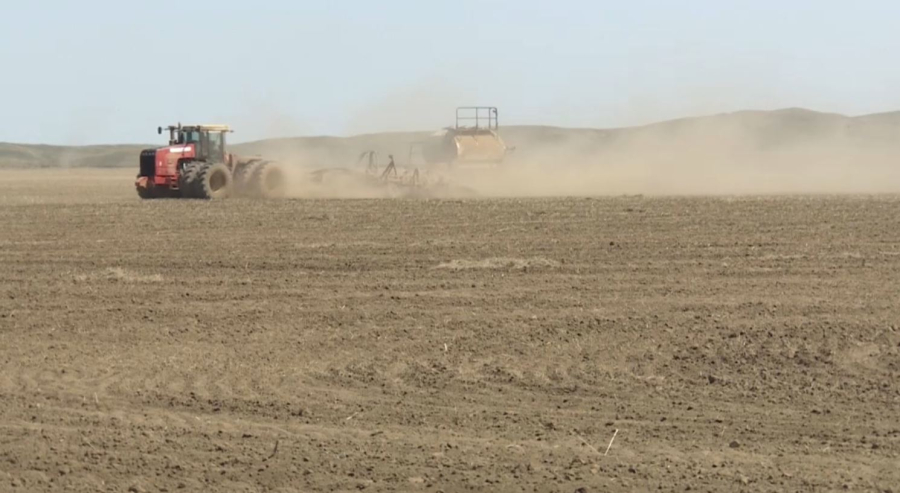 Диқандар егіске қамданып жатыр