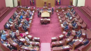 Законопроект о коренных народах одобрили в Сенате Австралии