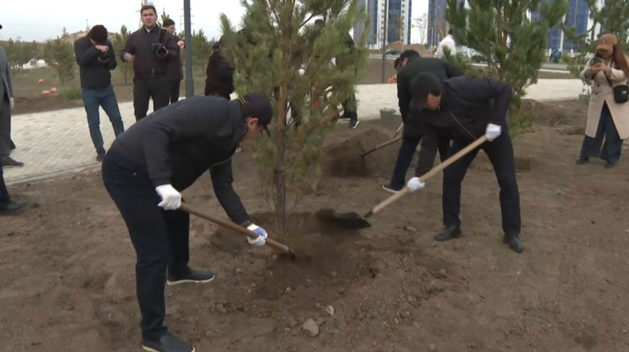 Около пяти тысяч саженцев высадили жители Семея