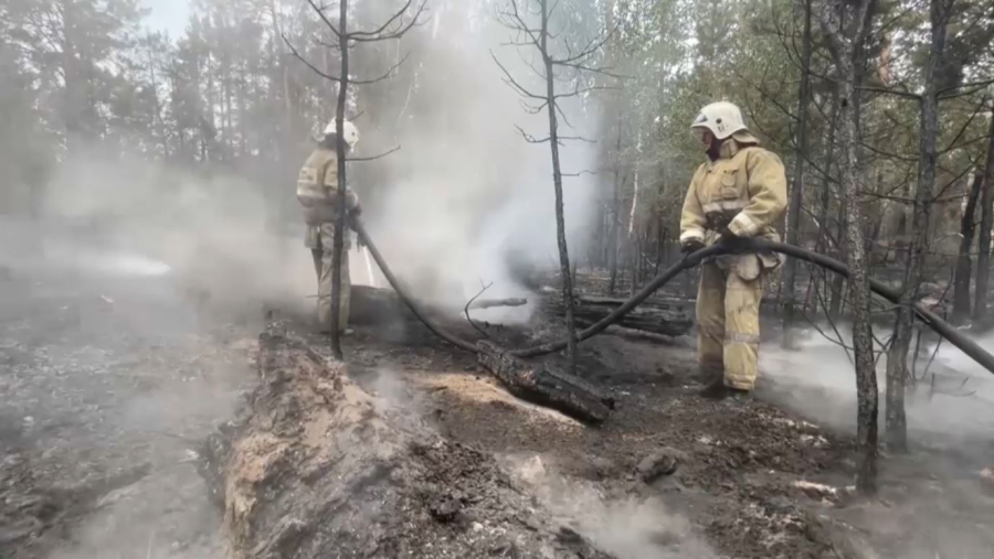 Угроза лесных пожаров сохраняется в Казахстане