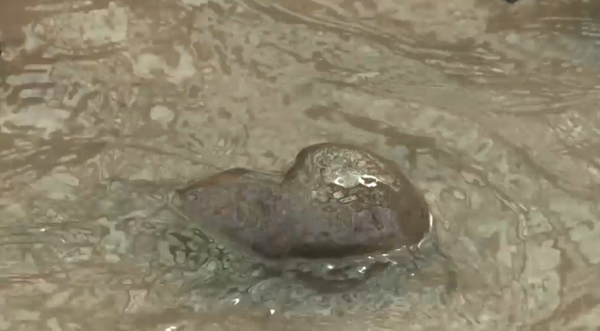 ШҚО-да өзен суына ауыр металдар араласқан