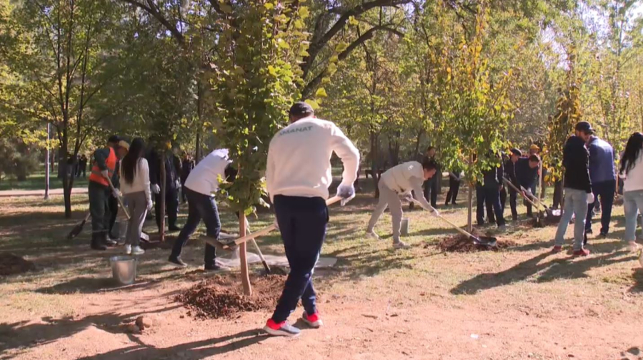 Алматыда жалпы қалалық сенбілік өтті