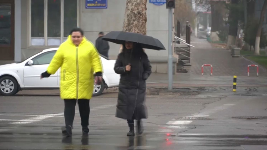 Өзбекстанда халық санағы басталды