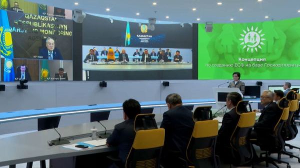 Елімізде әлеуметтік қолдау жүйесі жетілдіріледі