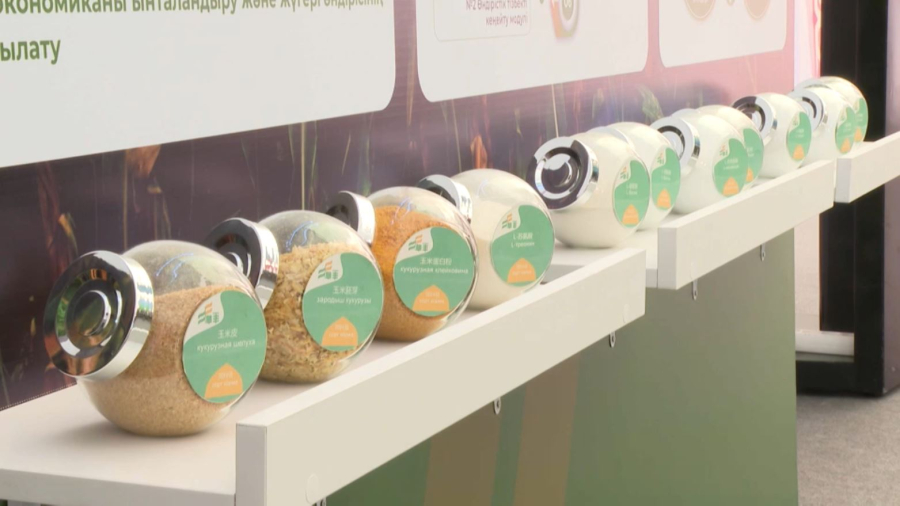 Жамбыл облысында биыл 9 жоба салынады