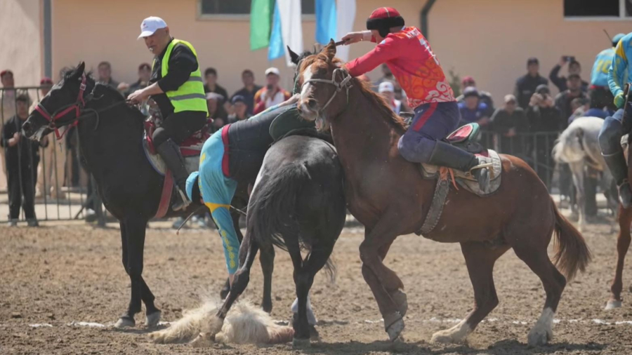 Қазақ көкпаршылары халықаралық жарыста топ жарды. LIVE