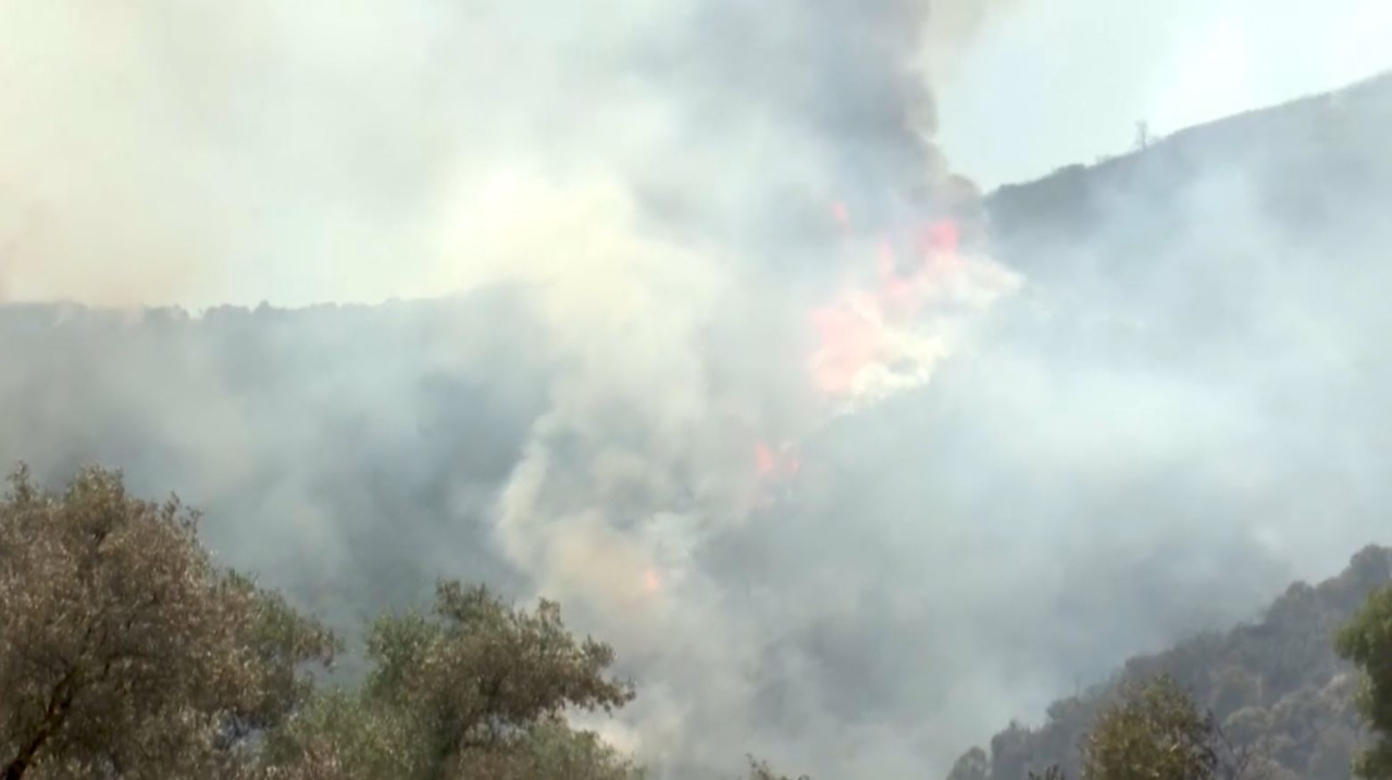 Лесные пожары в Турции приблизились к Измиру