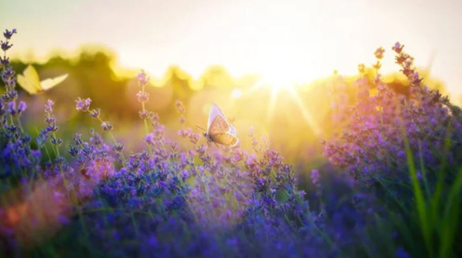 Какая погода ожидает казахстанцев