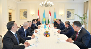 Председатель Мажилиса встретился с Президентом Таджикистана