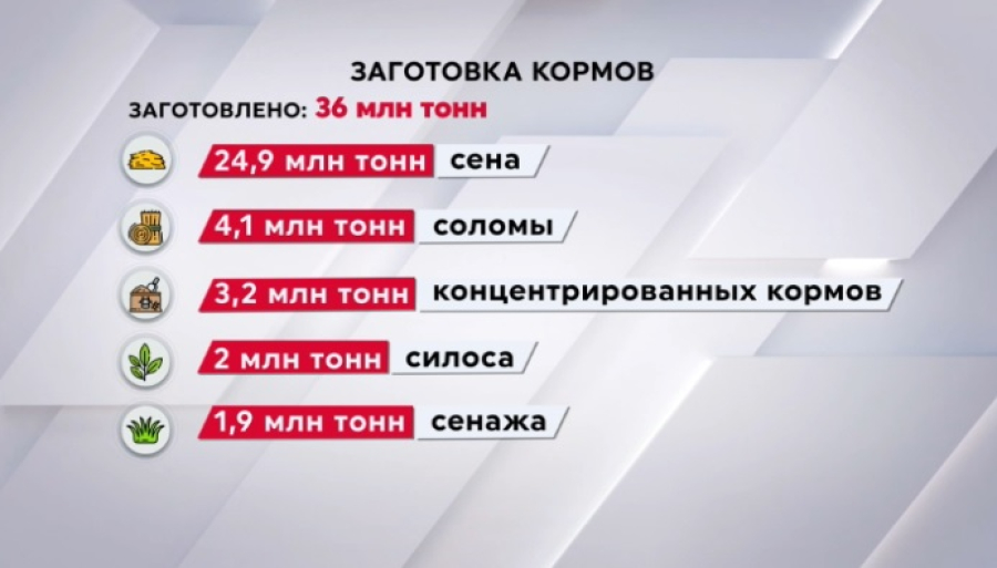 В Казахстане заготовили 36 млн тонн кормов – Минсельхоз