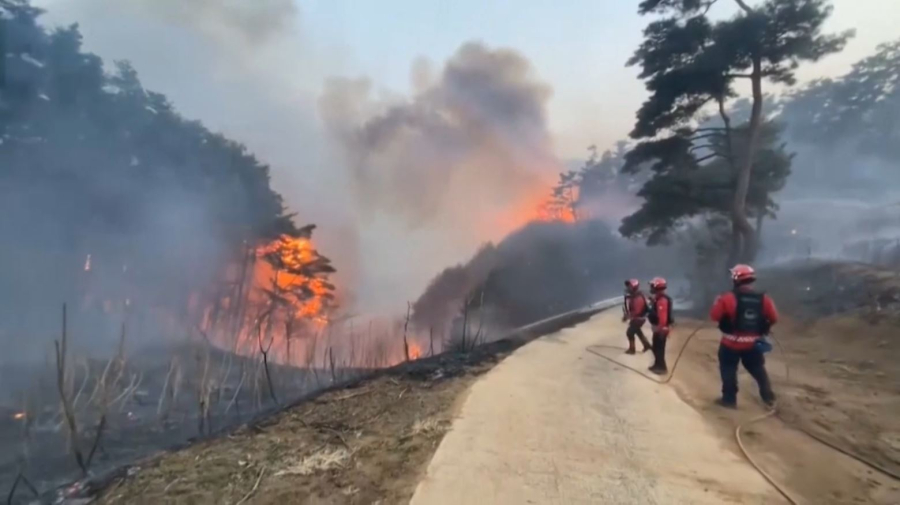 Дожди помогают сдерживать лесные пожары в Южной Корее