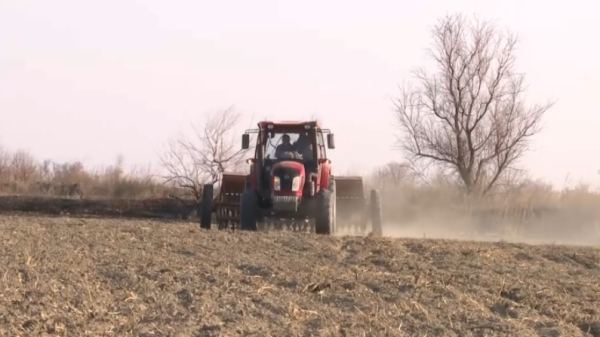 В Алматинской области приступили к посевной кампании