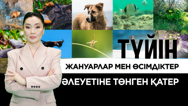 Қазақстанның экологиялық әлеуеті: қауіп-қатер қайдан?