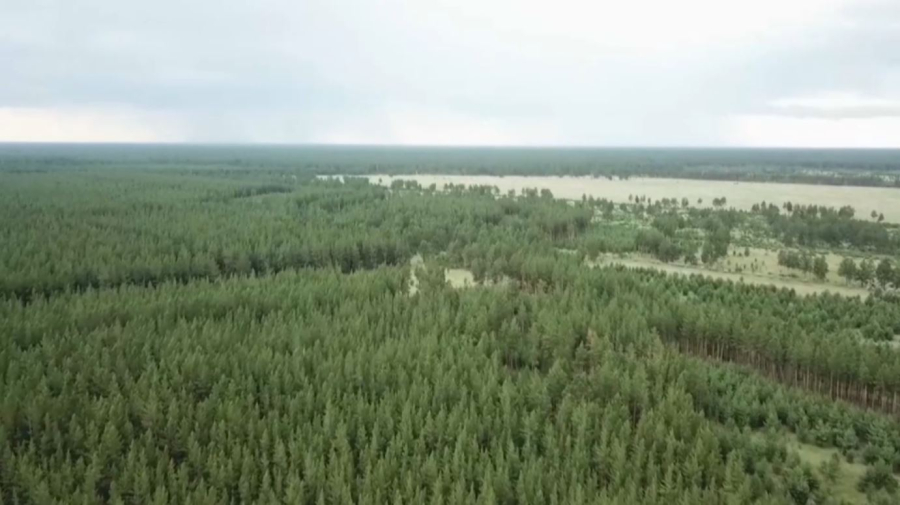 ₸52 млн штрафов заплатили казахстанцы за нарушение пожарной безопасности