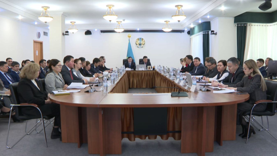 Конституциялық реформа адами капиталды дамытуға жол ашады