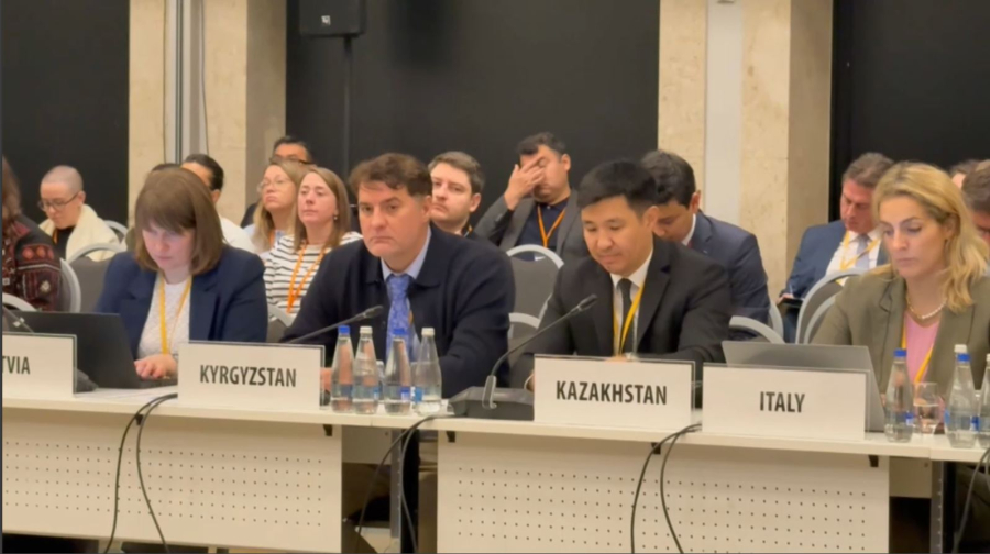 Сарапшылар: Қазақстан Конституциясында сөз бостандығы кеңейтілген